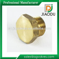 Popular classical Brass Hex Head Plug